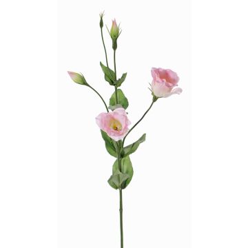Lisianthus artificiel JUDIKA, rose, 70cm, Ø5cm