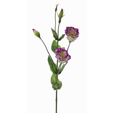 Lisianthus artificiel JUDIKA, violet-vert, 70cm, Ø5cm