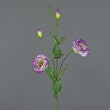 Lisianthus artificiel JUDIKA, violet-vert, 70cm, Ø5cm
