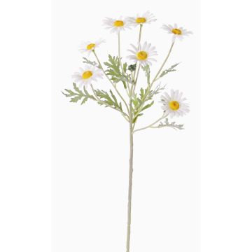 Marguerite artificielle LEONIA, blanc, 60cm, Ø5cm Marguerite artificielle LEONIA, blanc, 60cm, Ø5cm