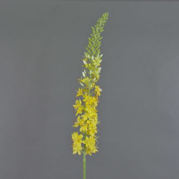 Eremurus artificiel SELINA, jaune, 105cm, Ø9cm