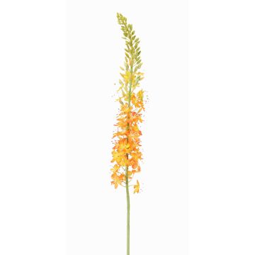 Eremurus artificiel SELINA, orange, 105cm, Ø9cm Eremurus artificiel SELINA, orange, 105cm, Ø9cm