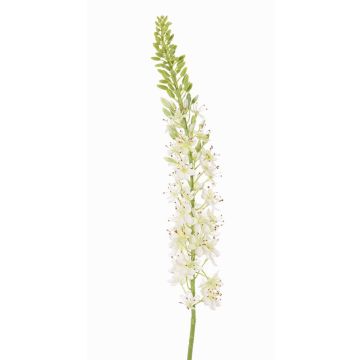 Eremurus artificiel SELINA, blanc, 105cm, Ø9cm Eremurus artificiel SELINA, blanc, 105cm, Ø9cm