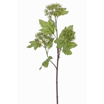 Fleur de boule de neige artificielle DEMI, vert, 60cm, Ø6-8cm Fleur de boule de neige artificielle DEMI, vert, 60cm, Ø6-8cm