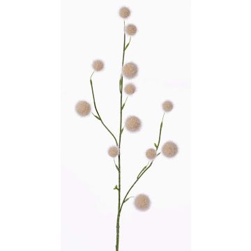 Ail ornemental artificiel EMRAH, crème, 80cm, Ø3-4,5cm Ail ornemental artificiel EMRAH, crème, 80cm, Ø3-4,5cm