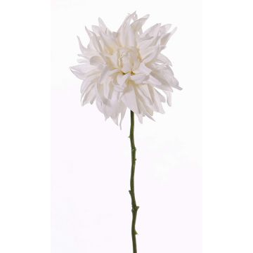 Dahlia artificiel SMILA, crème, 55cm, Ø12cm Dahlia artificiel SMILA, crème, 55cm, Ø12cm
