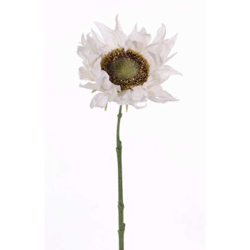 Faux tournesol JANIKA, blanc, 60cm, Ø13cm