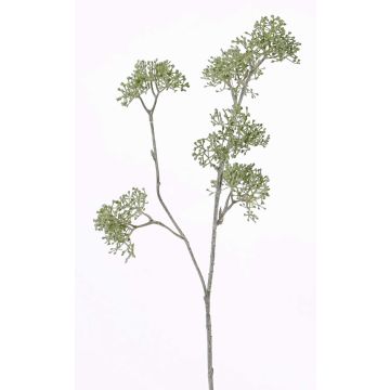 Cerfeuil sauvage artificiel ESME, vert, 60cm, Ø8cm