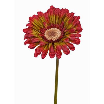 Gerbera artificiel ANNEMARIE, rouge-vert, 50cm, Ø10cm Gerbera artificiel ANNEMARIE, rouge-vert, 50cm, Ø10cm