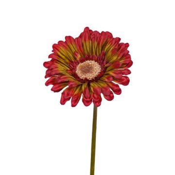 Gerbera artificiel ANNEMARIE, rouge-vert, 50cm, Ø10cm