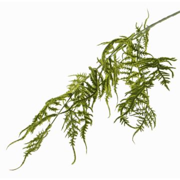 Branche d'asparagus plumosus artificielle CHRISTIAN, vert, 85cm Branche d'asparagus plumosus artificielle CHRISTIAN, vert, 85cm
