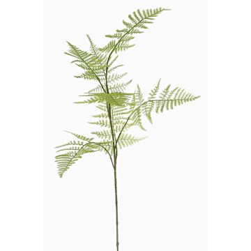 Branche d'asparagus plumosus artificielle HAYDON, vert, 85cm Branche d'asparagus plumosus artificielle HAYDON, vert, 85cm