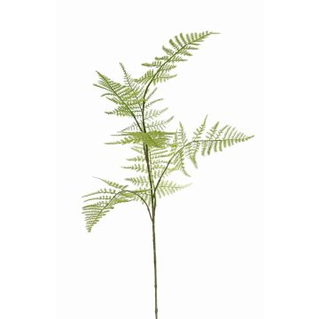 Branche d'asparagus plumosus artificielle HAYDON, vert, 85cm
