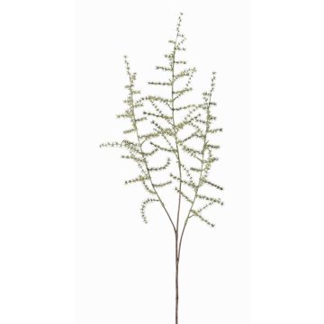 Fausse branche d'asparagus acutifolius JOCHEN, vert, 70cm Fausse branche d'asparagus acutifolius JOCHEN, vert, 70cm