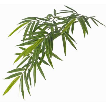 Branche de bambou artificiel LENNI, crossdoor, 80cm Branche de bambou artificiel LENNI, crossdoor, 80cm