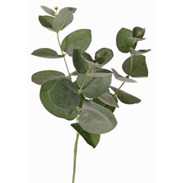 Branche d'eucalyptus artificielle JAMAL, vert-gris, 25cm Branche d'eucalyptus artificielle JAMAL, vert-gris, 25cm