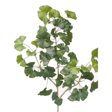 Branche de ginkgo artificiel HILGER, ignifuge, 70cm Branche de ginkgo artificiel HILGER, ignifuge, 70cm