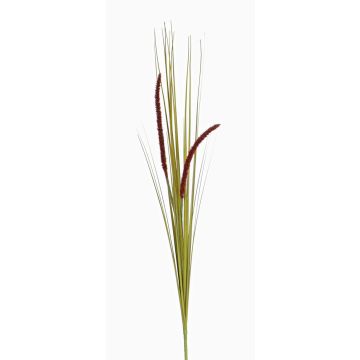 Vulpin artificiel JILL, piquet, panicules, vert-violet, 90cm Vulpin artificiel JILL, piquet, panicules, vert-violet, 90cm