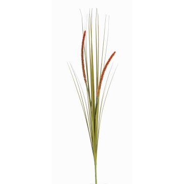 Vulpin artificiel JILL, piquet, panicules, vert-rouge, 90cm Vulpin artificiel JILL, piquet, panicules, vert-rouge, 90cm