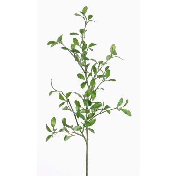 Branche de troène artificiel MENZEL, vert, 105cm