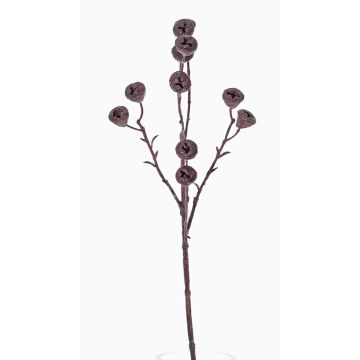 Fausse branche d'eucalyptus BASILIUS avec fruits, brun, 60cm Fausse branche d'eucalyptus BASILIUS avec fruits, brun, 60cm