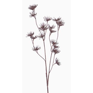 Carotte sauvage artificielle DORIAN, brun, 65cm, Ø4cm