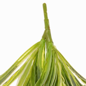 Faux chlorophytum TASNIN sur piquet, vert-blanc, 35cm, Ø40cm Faux chlorophytum TASNIN sur piquet, vert-blanc, 35cm, Ø40cm