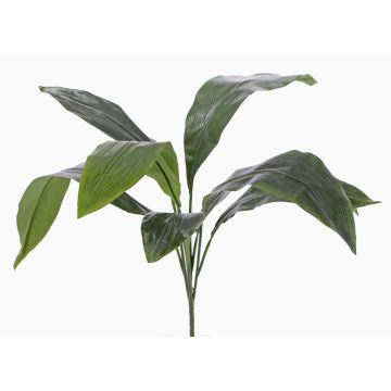 Aspidistra artificiel VASCO sur piquet, 55cm Aspidistra artificiel VASCO sur piquet, 55cm