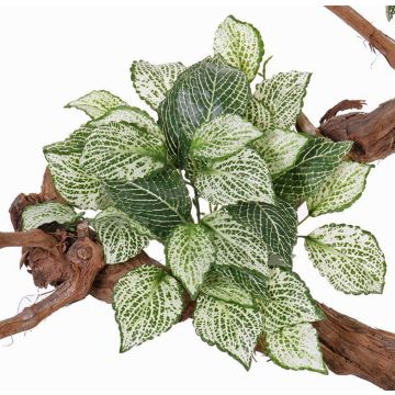 Fittonia artificiel MOLARA sur piquet, vert-blanc, 25cm Fittonia artificiel MOLARA sur piquet, vert-blanc, 25cm