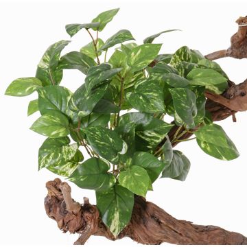 Faux pothos NAEL, piquet, ignifuge, vert-blanc, 50cm Faux pothos NAEL, piquet, ignifuge, vert-blanc, 50cm