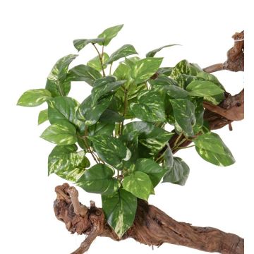 Faux pothos NAEL, piquet, ignifuge, vert-blanc, 50cm