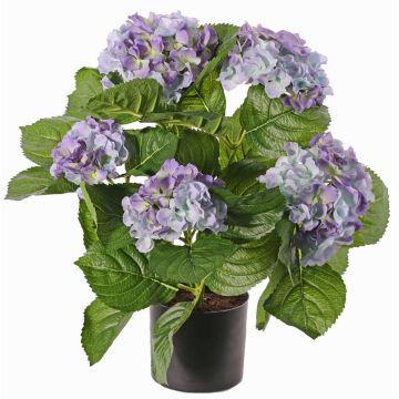 Faux hortensia TEMARI, violet, 40cm, Ø10-12cm Faux hortensia TEMARI, violet, 40cm, Ø10-12cm
