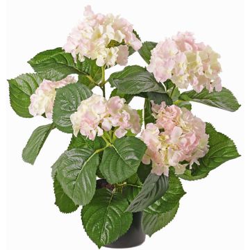 Faux hortensia TEMARI, blanc-rose, 40cm, Ø10-12cm Faux hortensia TEMARI, blanc-rose, 40cm, Ø10-12cm