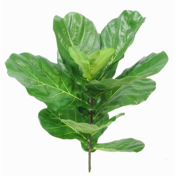 Ficus lyrata synthétique EZRA sur piquet, crossdoor, vert, 75cm Ficus lyrata synthétique EZRA sur piquet, crossdoor, vert, 75cm