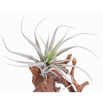 Tillandsia Stricta en plastique ADELE sur piquet, vert-gris, 25cm, Ø20cm Tillandsia Stricta en plastique ADELE sur piquet, vert-gris, 25cm, Ø20cm