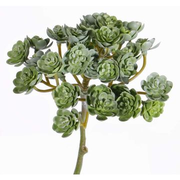 Echeveria artificiel BLAIR sur piquet, vert, 20cm, Ø10cm Echeveria artificiel BLAIR sur piquet, vert, 20cm, Ø10cm