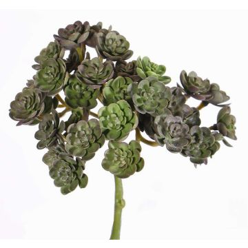 Echeveria artificiel BLAIR sur piquet, rouge-vert, 20cm, Ø10cm Echeveria artificiel BLAIR sur piquet, rouge-vert, 20cm, Ø10cm