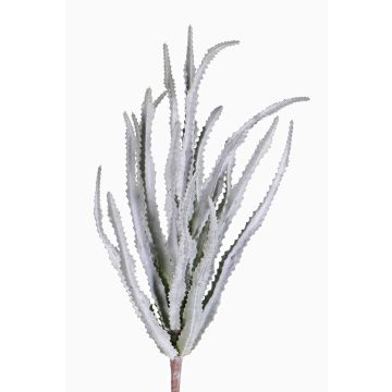 Euphorbia trigona synthétique REESE sur piquet, gris-vert, 30cm, Ø20cm Euphorbia trigona synthétique REESE sur piquet, gris-vert, 30cm, Ø20cm
