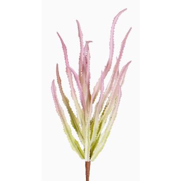 Euphorbia trigona synthétique REESE sur piquet, rose-vert, 30cm, Ø20cm Euphorbia trigona synthétique REESE sur piquet, rose-vert, 30cm, Ø20cm
