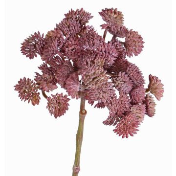 Sédum artificiel DANICA, rouge foncé, 20cm, Ø10cm Sédum artificiel DANICA, rouge foncé, 20cm, Ø10cm