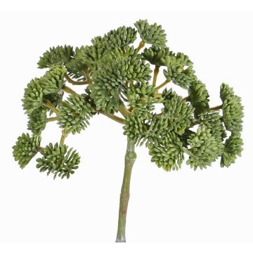 Sédum artificiel DANICA, vert, 20cm, Ø10cm Sédum artificiel DANICA, vert, 20cm, Ø10cm