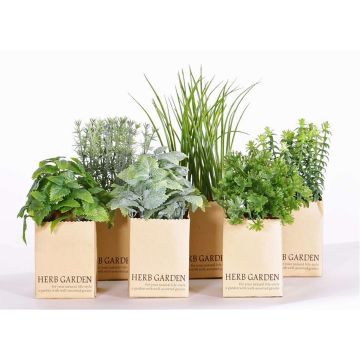 Mélange d'herbes artificielles CHUCK en pot de papier, 6 pcs, vert, 15-25cm Mélange d'herbes artificielles CHUCK en pot de papier, 6 pcs, vert, 15-25cm