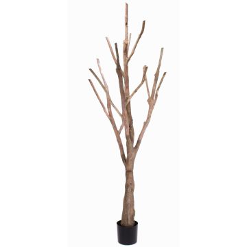 Faux tronc d'arbre et branches sans feuillage WILKO, brun, 215cm