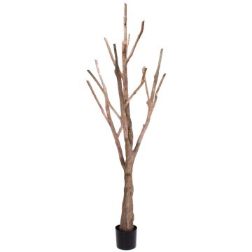 Faux tronc d'arbre et branches sans feuillage WILKO, brun, 215cm