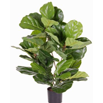 Ficus Lyrata artificiel RHYS, crossdoor, vert, 70cm Ficus Lyrata artificiel RHYS, crossdoor, vert, 70cm