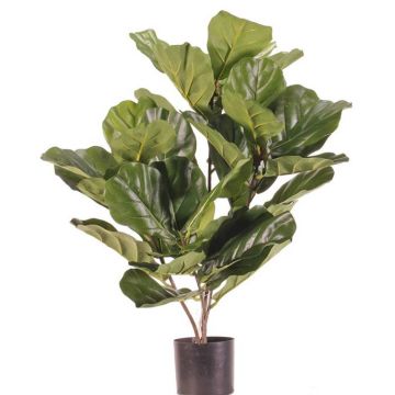 Ficus Lyrata artificiel RHYS, crossdoor, vert, 70cm Ficus Lyrata artificiel RHYS, crossdoor, vert, 70cm