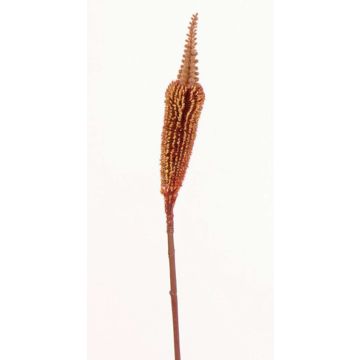 Bulbinella angustifolia artificiel TALUNA, brun-rouge, 65cm, Ø4cm