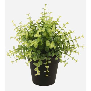 Eucalyptus synthétique YANIS, vert, 20cm