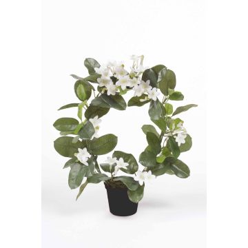 Jasmin de Madagascar artificiel ALTAY, blanc, 40cm