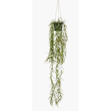 Panier suspendu avec rhipsalis artificiel BOLTEN, vert, 80cm